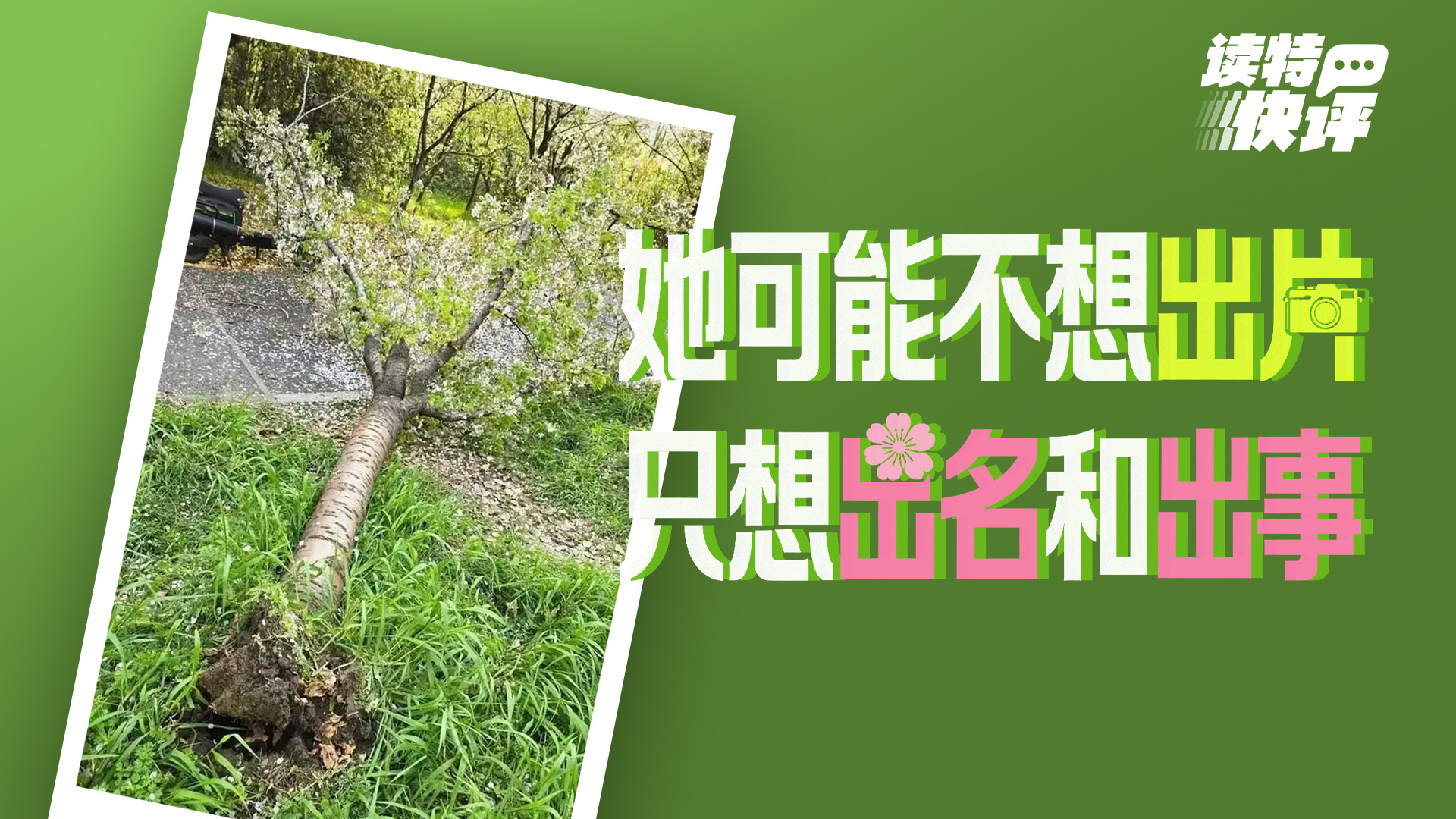 读特快评｜上树拍照的不雅“造型”，该退场了