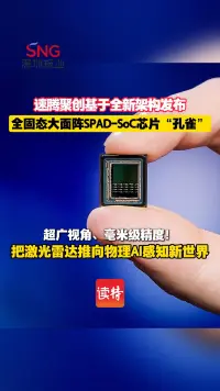 把激光雷达推向物理AI感知新世界，速腾聚创基于全新架构发布旗舰芯片“孔雀”