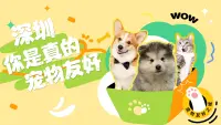 深圳，你是真的宠物友好