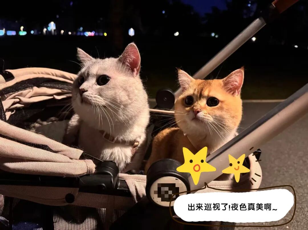 微信图片_20260408111831_1162_991_副本.jpg