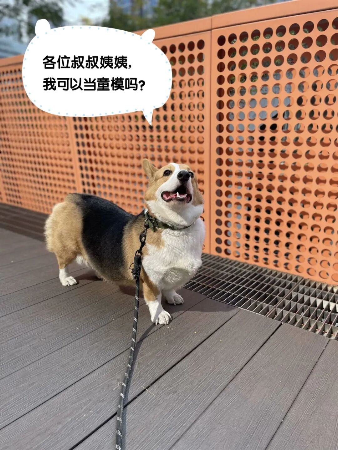 微信图片_20260408113910_1164_991_副本.jpg