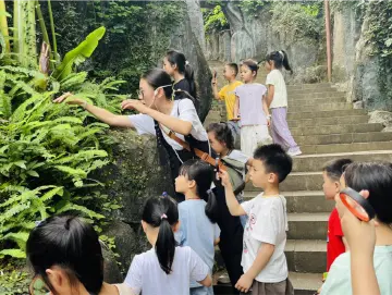 春日寻绿亲子同行，罗湖区翠岭社区开展自然科普踏青活动
