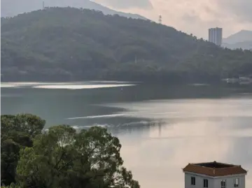 温度记｜深圳今日天气开挂，宜出行、宜放松！外出请做好防蚊措施