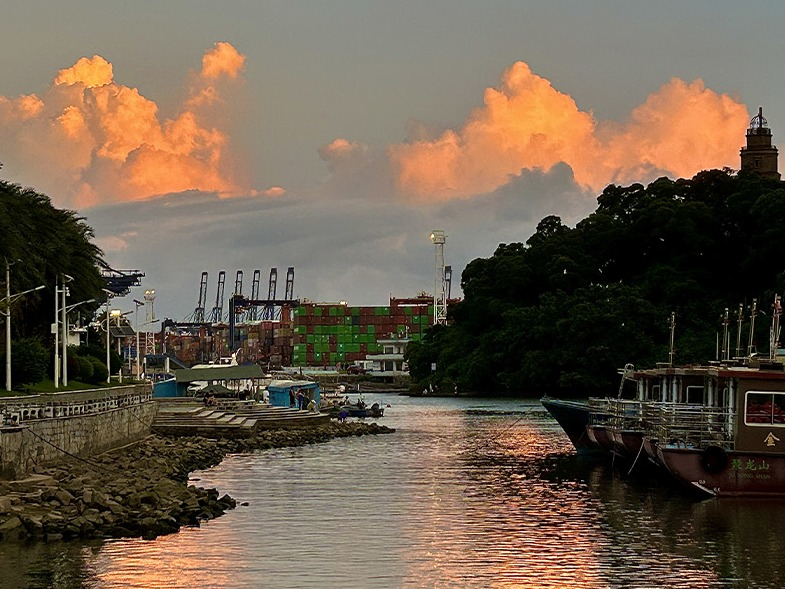 读特派·每日佳片｜浮光跃金（2026.4.2）