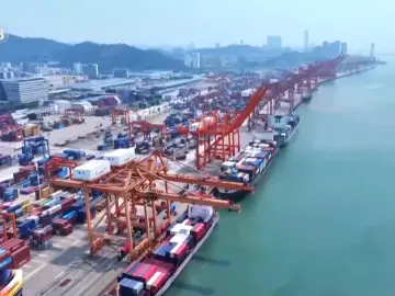 基础稳、活力足、动能强 三个关键词读懂我国一季度外贸成绩单 