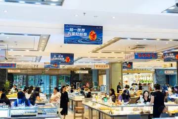 聚焦文博会 | 多项签约落地，第二十二届文博会松岗琥珀分会场启幕