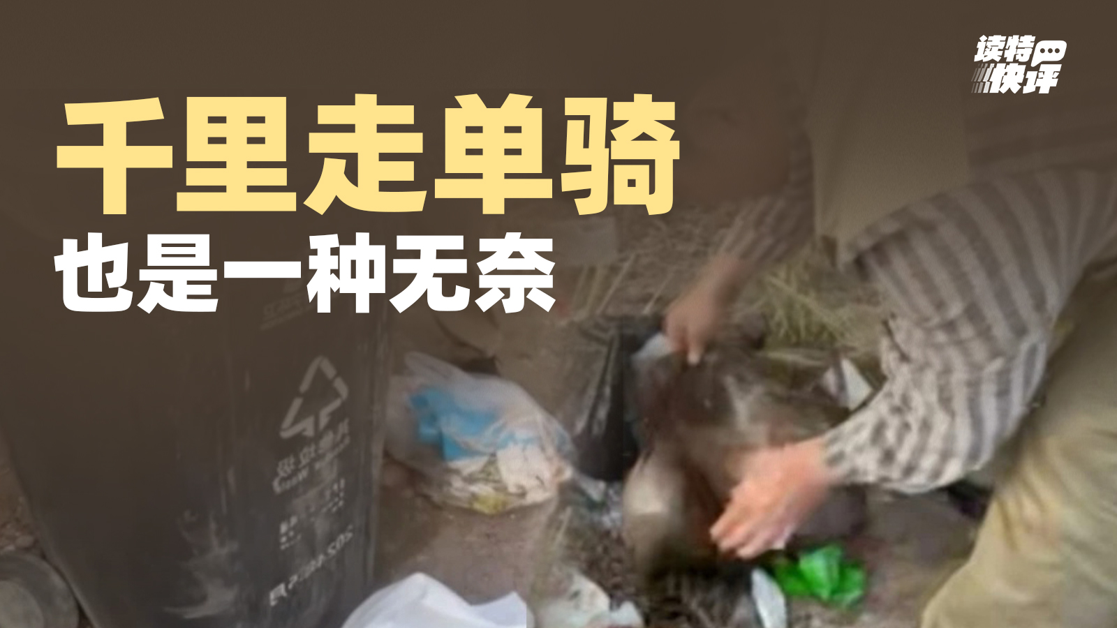 读特快评｜跨省寻榴莲成本太高，补上“仅退款”漏洞才是正道