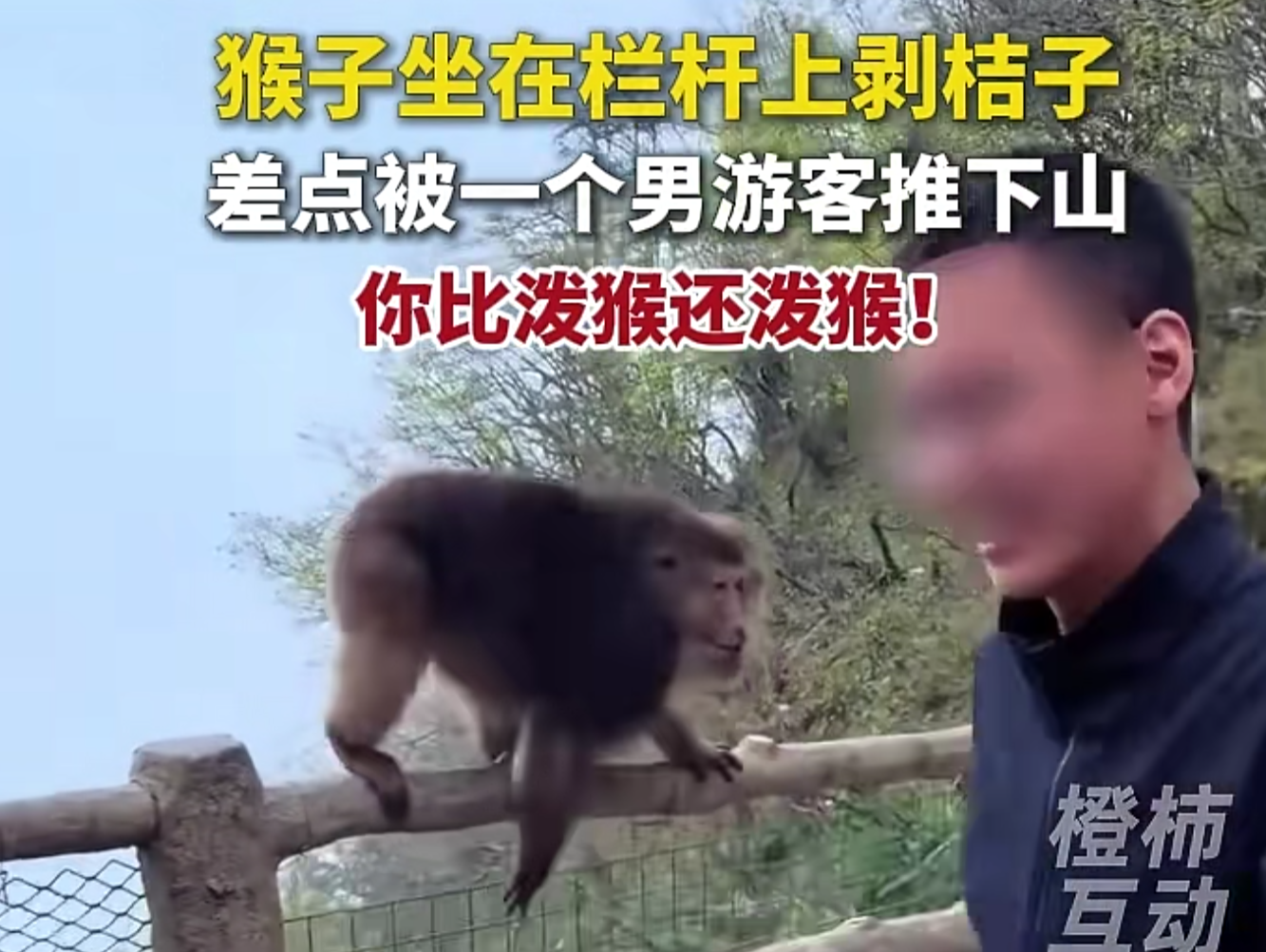 央媒评峨眉山猴子险遭游客推下山：有必要将“不文明游客黑名单”全国联网 