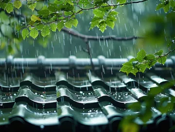 这些地方高考考生注意防雨！南方两轮降雨将波及十余省份 