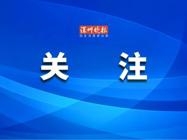 突然倒下的一棵树敲响警钟 福田为全区行道树“做体检”