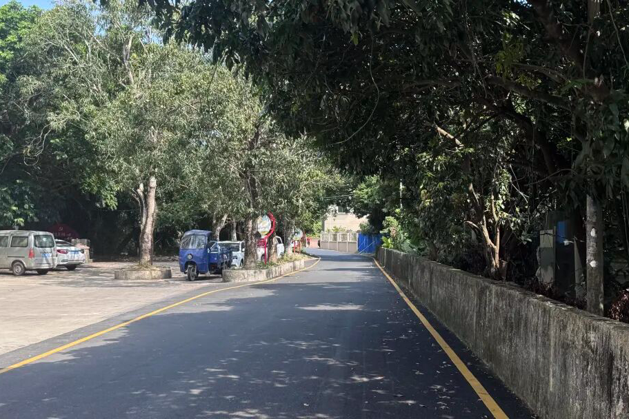 一封感谢信背后的西寨村“变形记”：烂路变坦途，污水塘成景观