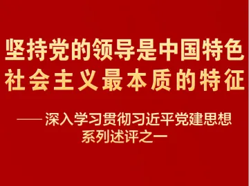 深入学习贯彻习近平党建思想系列述评之一