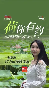 “荷”你有约！2026深圳荷花赏正式开启，一起解锁17万平方米荷风诗画 | 在场