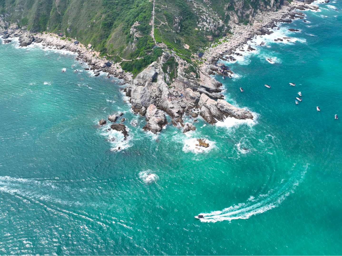 读特派·每日佳片｜青山碧海（2026.6.2）