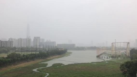 11:57，福田香蜜湖片区开始下起大雨  刘羽洁
