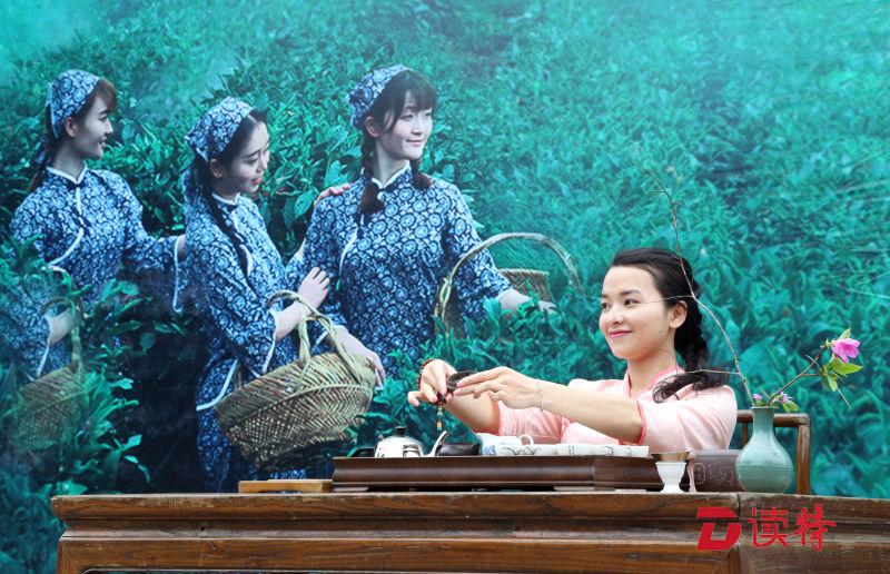指尖新绿 唇齿留香 到东部华侨城采茶去