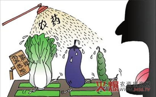 注意了！5个蔬菜样品农残超标