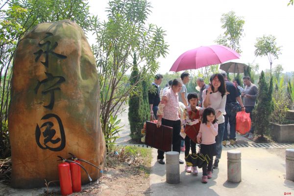 东莞麻涌移风易俗 扫墓祭祖再也不用满脚泥了