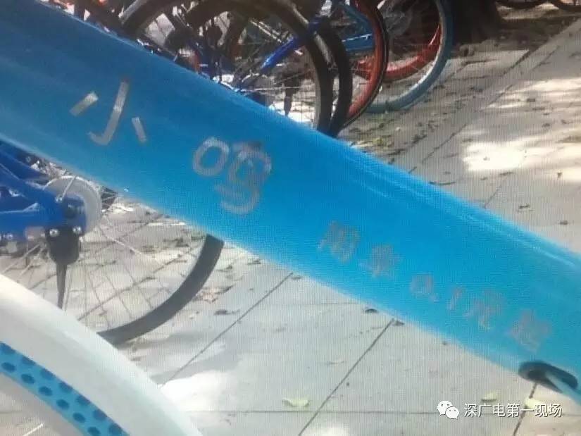 天!深圳一市民骑共享单车骑出“天价41万”?什么情况