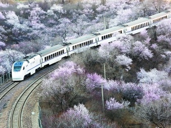 北京“花海列车”走红后屡被逼停 村民被迫封路
