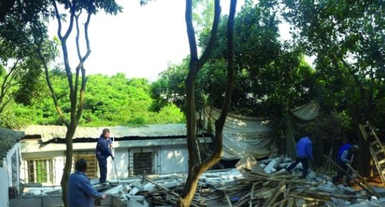 龙岗区部门联动执法宝龙街道拆除占国土违建