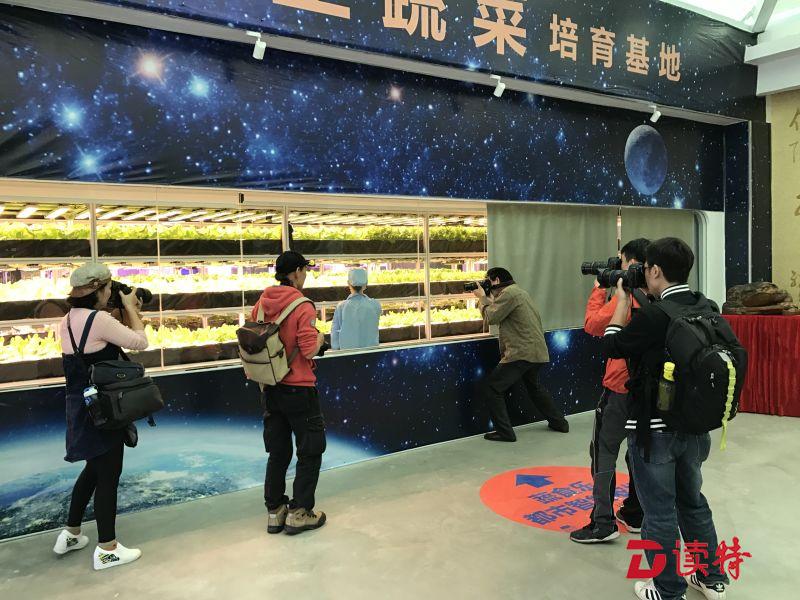 宝安艺术家齐聚福海开展采风活动