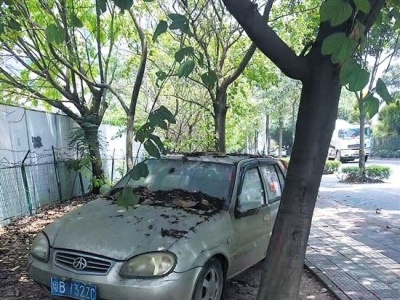 深圳市民举报“僵尸车”单次最高可奖2000元