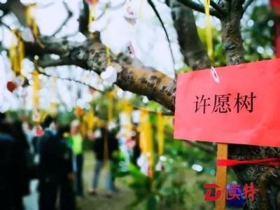 深圳推多元生态葬式 3.6万具骨灰海葬树葬