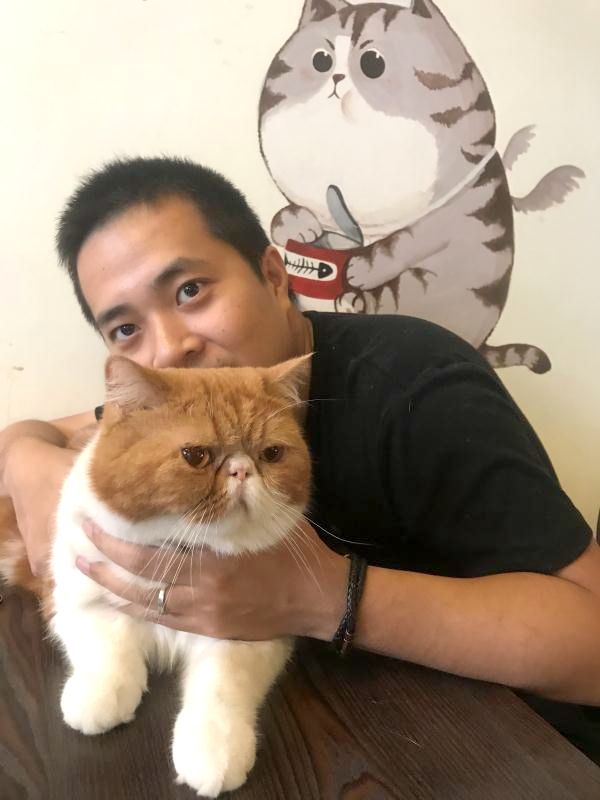 东莞有个“养猫控”，与30多只猫“相依为命” 