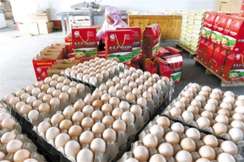 蛋价继续跌：比包子还便宜 饭店鸡蛋做菜分量都多了