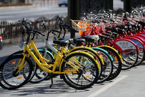 还在机动车道上骑共享单车？小心被查处还会被通报