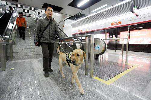 你支持吗？视障者首次携导盲犬进故宫博物院 