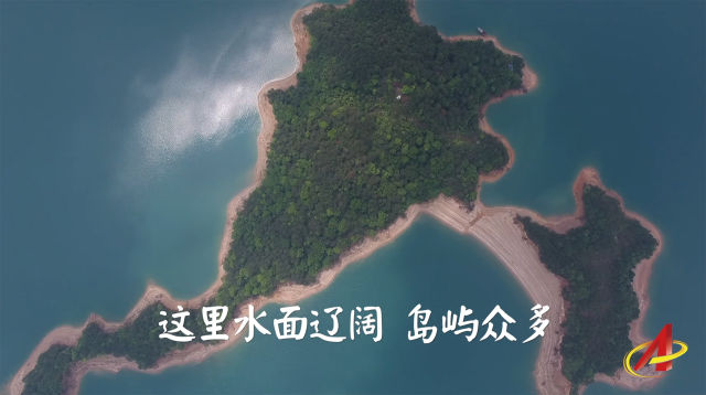微视频｜一滴东江水漂流入港记 