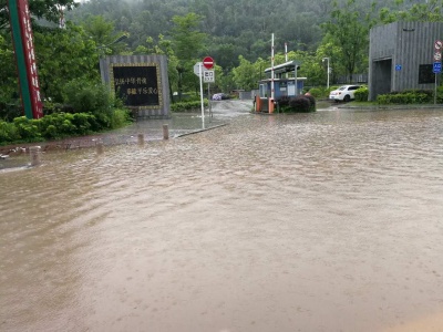 坪山普降暴雨 部分路段严重水浸