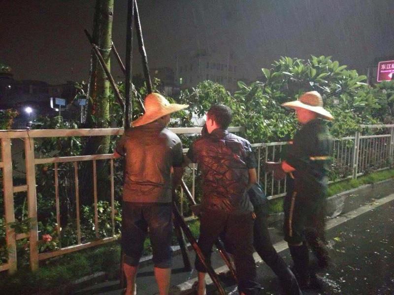 坪山全力以赴防御“苗柏”  累计出动人员２７８０余人次