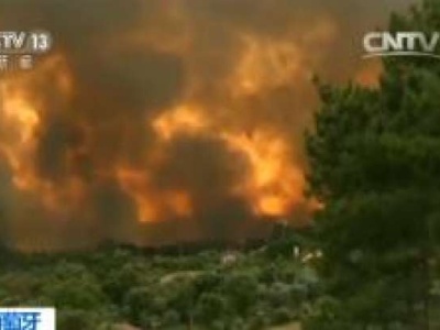 葡萄牙森林火灾已致57死 多人驾车逃离时被困车内