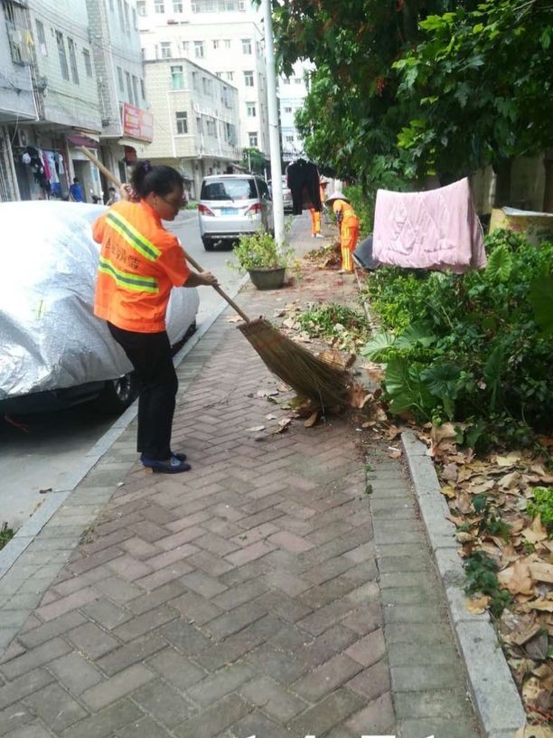 周末不停歇 龙田开展城中村“净化”整改