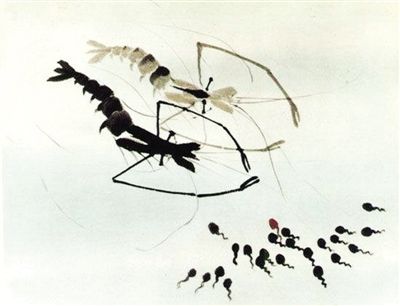 小蝌蚪雪孩子葫芦兄弟阿凡提 都要出新版动画片了