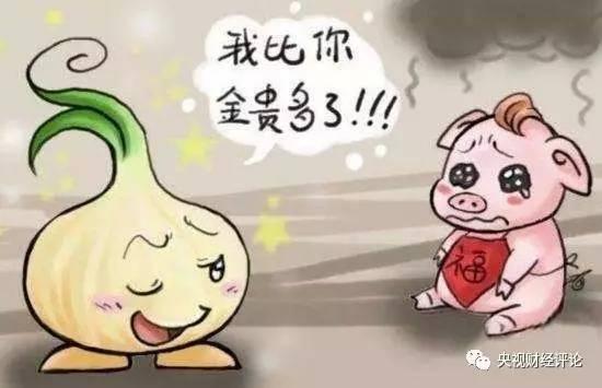 价格大跌！“蒜你狠”狠不起来了！