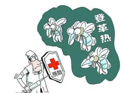深圳已报告登革热17例！驱蚊防病要注意这几点