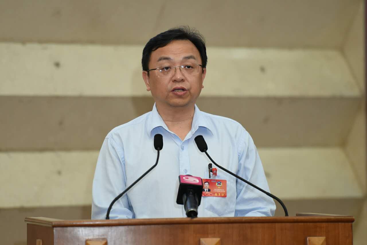 王传福：推动本土优势产业又好又快地“走出去”
