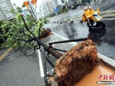 台风强袭福州121个航班被取消 仅俄航班机成功落地