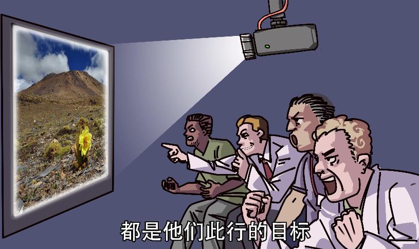比钻石无价，比跑车稀有，这些植物你一定没听过！