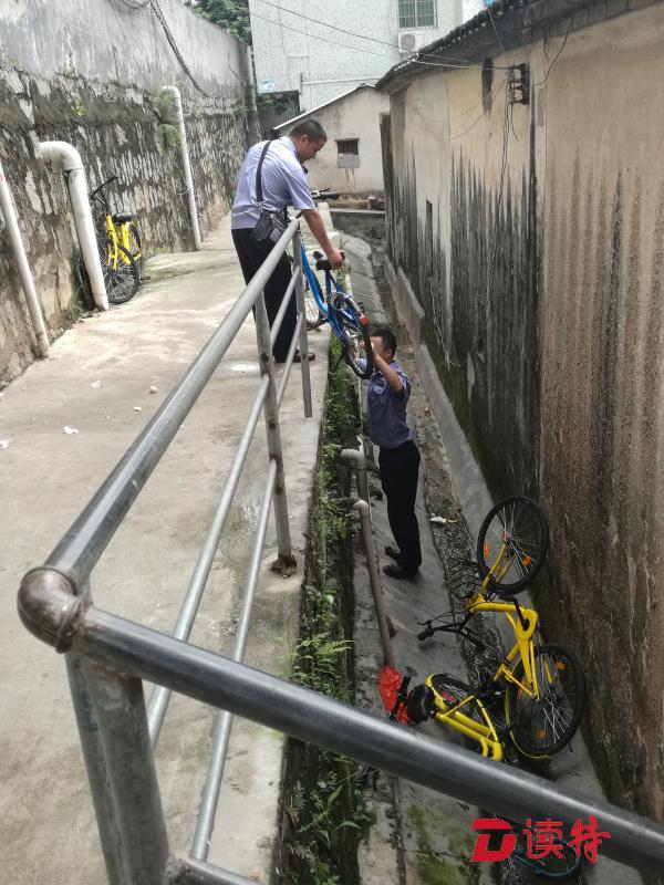石岩依托网格整治共享单车乱象 加强宣传规范促长效管理