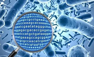 英国首席医疗官：每个癌症患者都应进行DNA测序