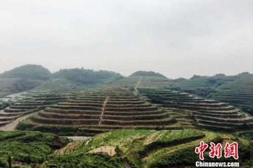 国务院扶贫办要求刹形式主义风：减少填表报数、检查考评