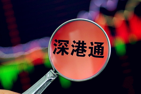 深港专家组成“智囊团” 深圳市人力资源管理协会成立