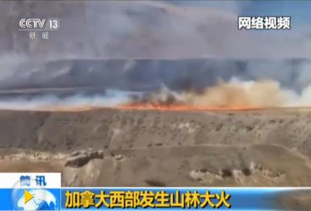 加拿大西部发生多起山火 约3000名居民紧急疏散