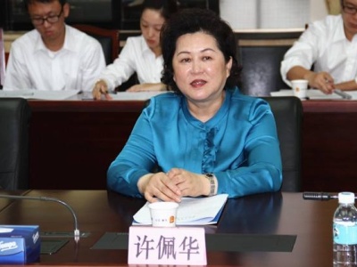 广东省高院原党组成员、执行局局长许佩华被开除党籍