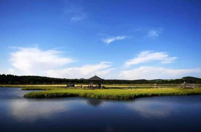 塞罕坝55年造林传奇:从黄沙遮天到世界面积最大人工林